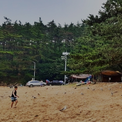 B구역