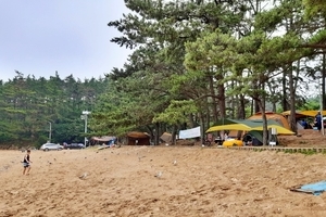 꾸지나무골 해수욕장 캠핑장