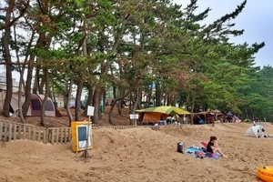 꾸지나무골 해수욕장 캠핑장