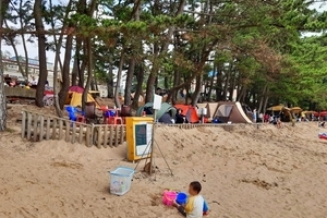 꾸지나무골 해수욕장 캠핑장